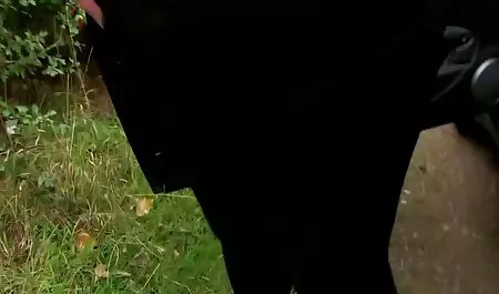 Lesbian lucu menghargai bokep online gratis rasa vagina temannya