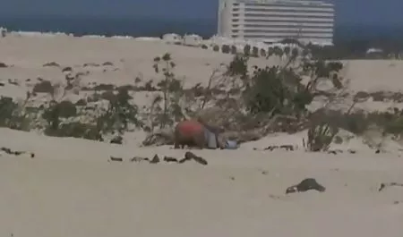 Perawat Jerman bercinta bokep mp3 di kantor dengan seorang pasien