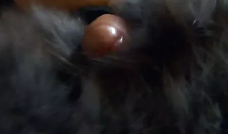 Manis coklat bercinta di dubur bokep rame rame