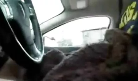 Gay muda membelai penisnya yang xnxx korea selingkuh gemuk